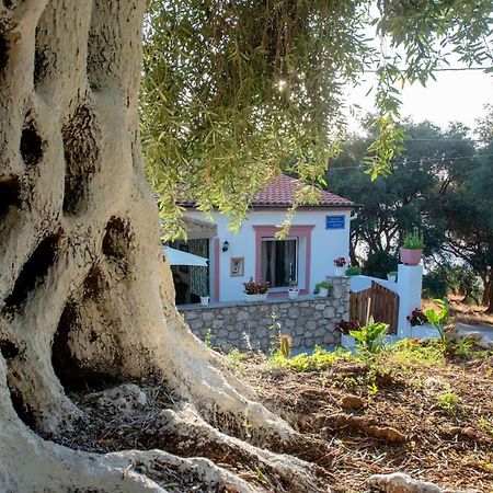 Mantzaros Country House Βίλα Πεντάτιο Εξωτερικό φωτογραφία