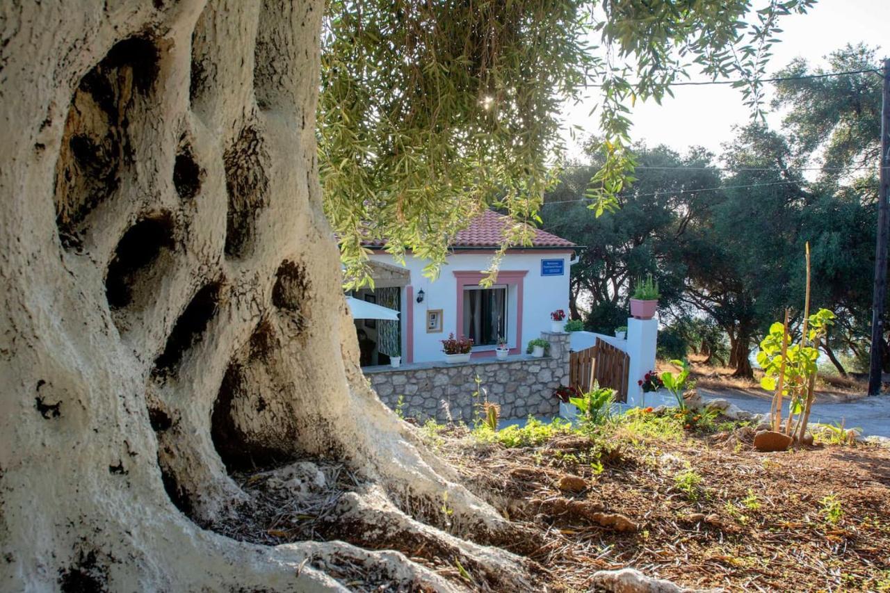 Mantzaros Country House Βίλα Πεντάτιο Εξωτερικό φωτογραφία