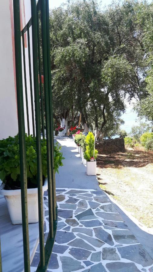 Mantzaros Country House Βίλα Πεντάτιο Εξωτερικό φωτογραφία